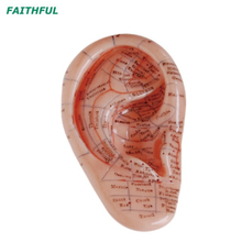 XC-514Series Massage Ear Modelo 17cm/12cm