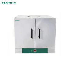 Forno de secagem DGF-250B