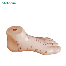 XC-510 Foot Acupuncture Modelo 13cm