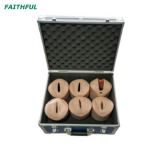 Módulo de entrega de mão-de-obra XC-449