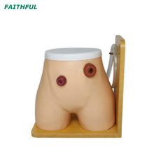 Modelo de Enfermagem de Ostomia XC-456