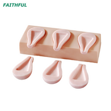 XC-448 Uterus simulado de aborto artificial avançado