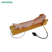 XC-481 punção de medula óssea infantil e modelo de punção venosa femoral