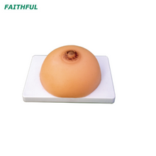 Modelo de treinamento de lactação XC-418B