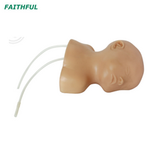 Modelo de punção venosa do couro cabeludo XC-409E