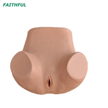 Simulador de Treinamento Ginecológico XC-411