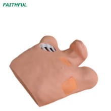 XC-465 simulador de pneumotórax/pleural (Artificia-hidrotórax)
