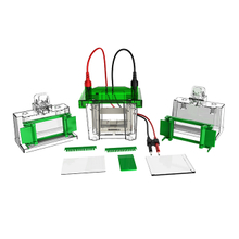 Eletroforese de proteínas e sistema Transblot FL-Mini01