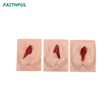 Simulador de Treinamento Suturing da série XC-447