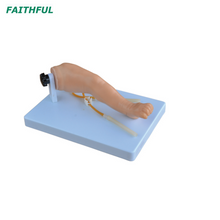 Perna de venocura infantil avançada XC-485