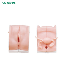 Modelo de orientação de contracepção XC-417