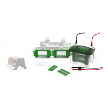 Eletroforese de proteínas e sistema Transblot FL-Mini04