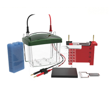 Eletroforese de proteínas e sistema Transblot FL-ZY03