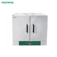 Forno de secagem DGF-250B