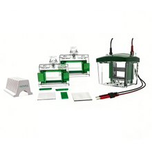 Eletroforese de proteínas e sistema Transblot FL-Mini02