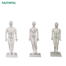 ACUPUNCURA DE ACUPUNCURA DE XC-500 SERIES 46cm/48cm/50cm/60cm/70cm (masculino/feminino)