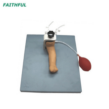 Armado de punção da artéria infantil XC-486