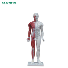 XC-500SERIES DELUXE ACUPUNCURA （& MUSCLO) modelo