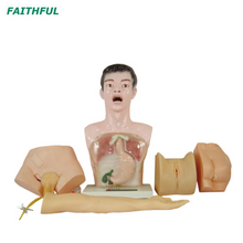 XC-405 Modelo de ensino de prática básica de enfermagem